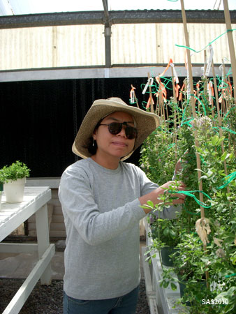 Image of ...Gina Babb, Ph.DO Graduate Student