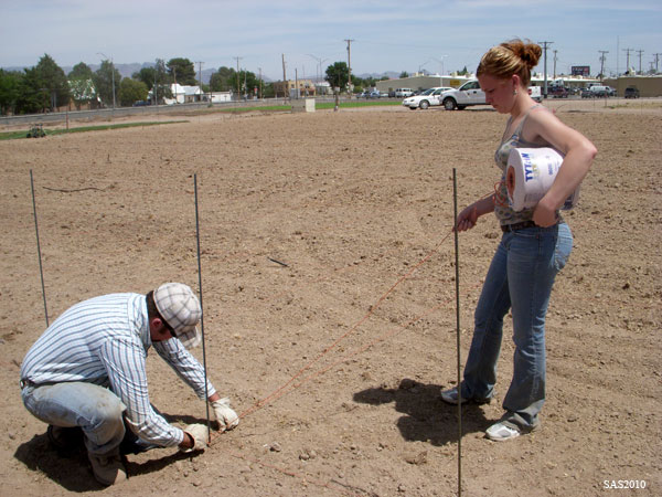 Image of ...Lora Harris (Research Specialist) and Tyler Tatum (Animal Science Major) Measuring Plots