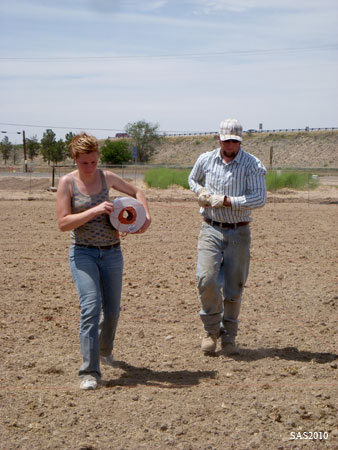 Image of ...Lora Harris (Research Specialist) and Tyler Tatum (Animal Science Major) Measuring Plots