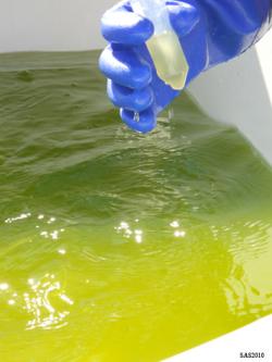 Image of ...Collecting a Sample